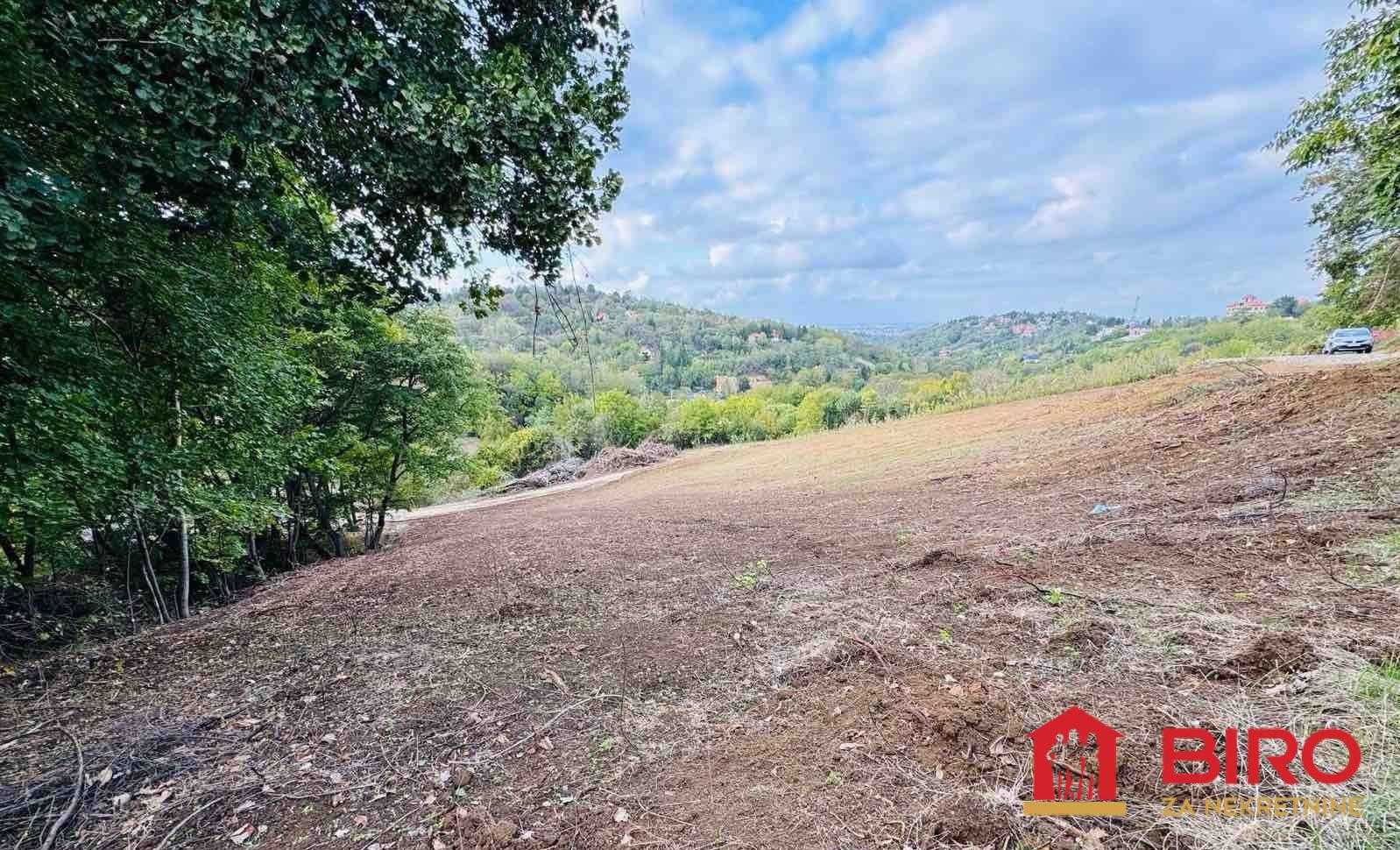 lokal - SREMSKA KAMENICA - POPOVICA - 7000248